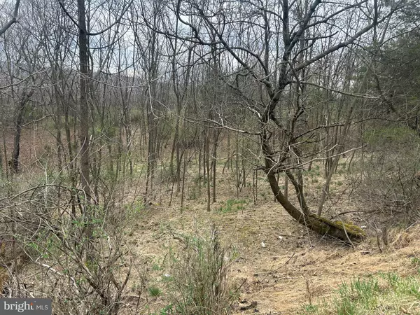 Mathias, WV 26812,TRACT #4 DISPANET RD.