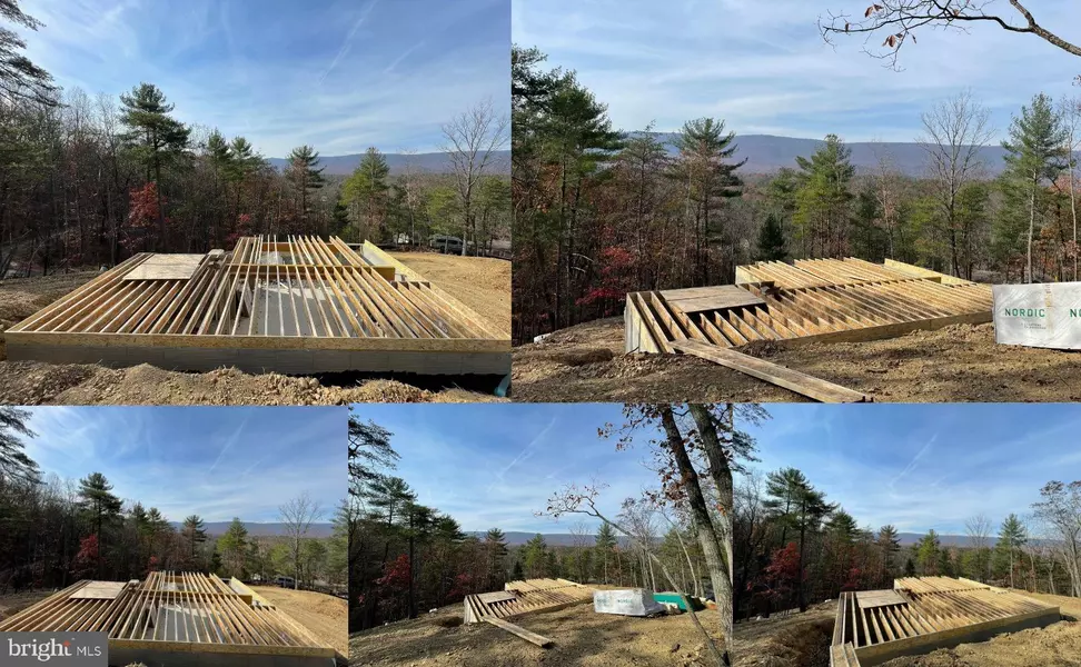 LAURA CT, Basye, VA 22810