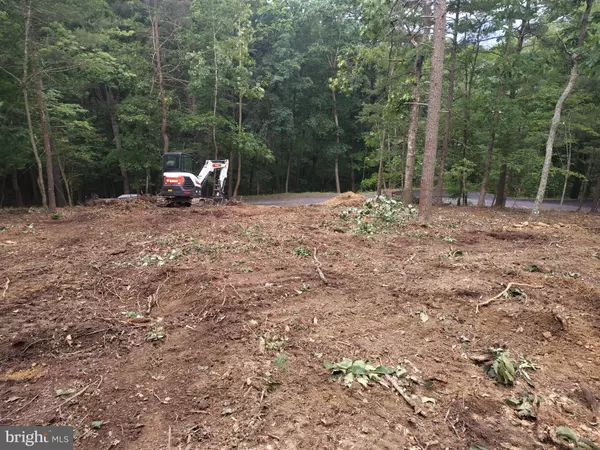 Basye, VA 22810,LAURA CT