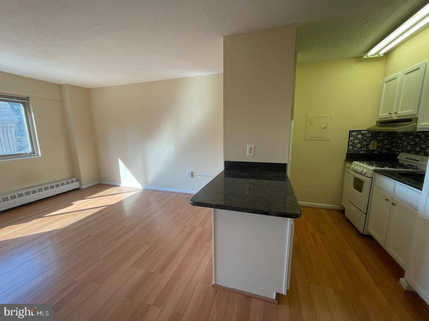 2101-17 CHESTNUT ST #1413, Philadelphia, PA 19103