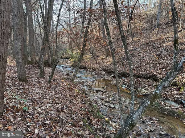 Scottsville, VA 24590,OLD DRIVER HILL ROAD (TRACT: H.M. DUVAL-1)