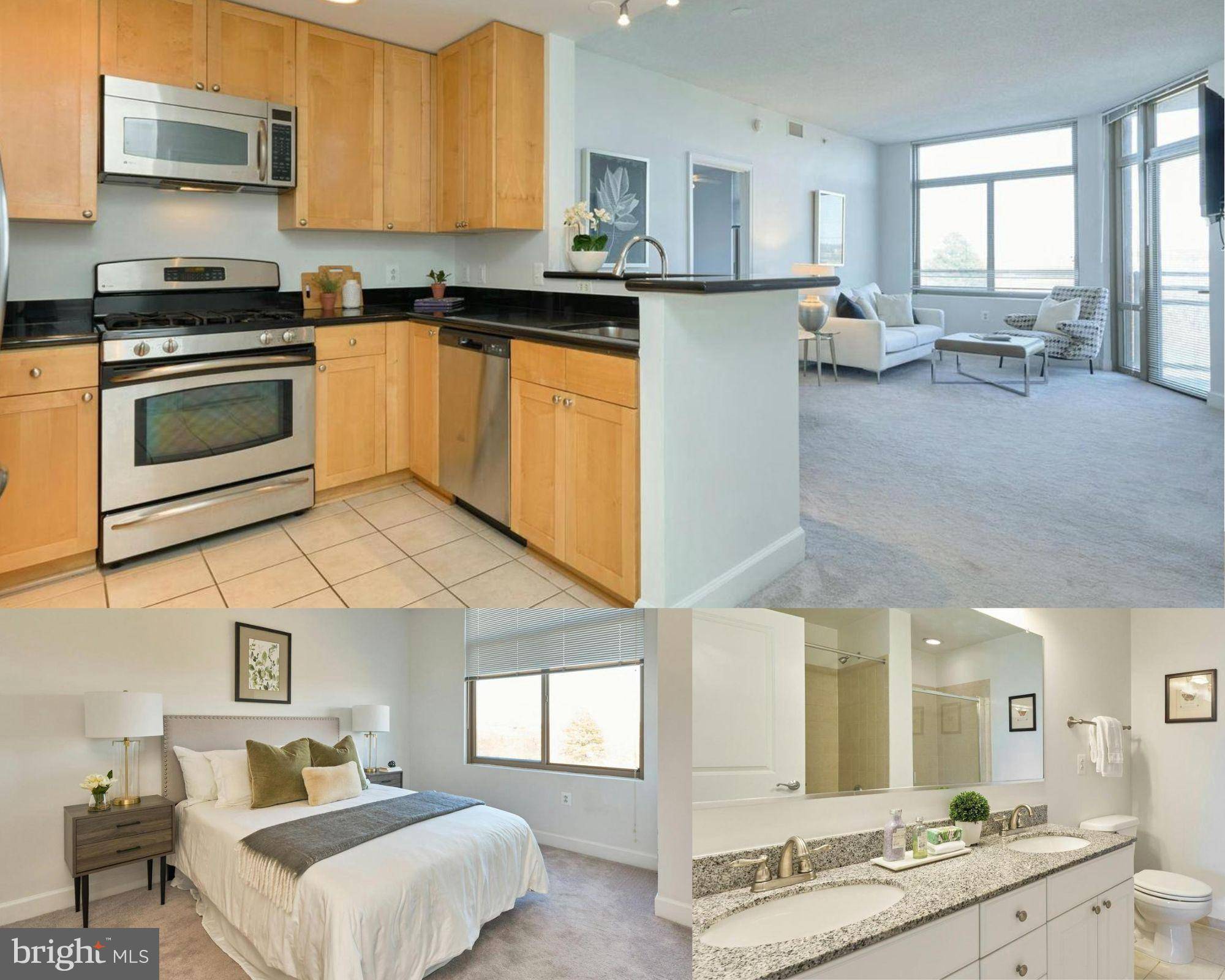 Arlington, VA 22202,3650 S GLEBE RD S #454