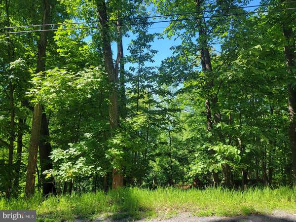 LOT 38 F WINDY WAY, Front Royal, VA 22630