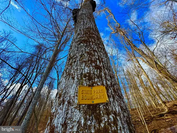 Grafton, WV 26354,1608 WOODYARD RD