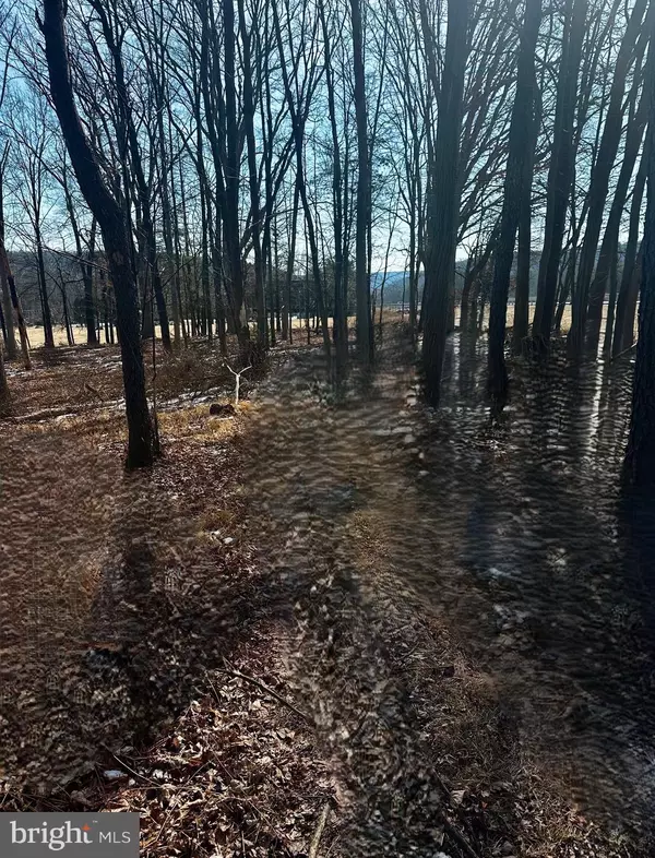 Lehighton, PA 18235,SAWMILL RD
