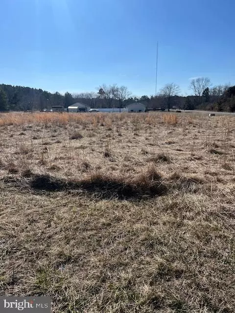 SAN DOMINGO, Mardela Springs, MD 21837