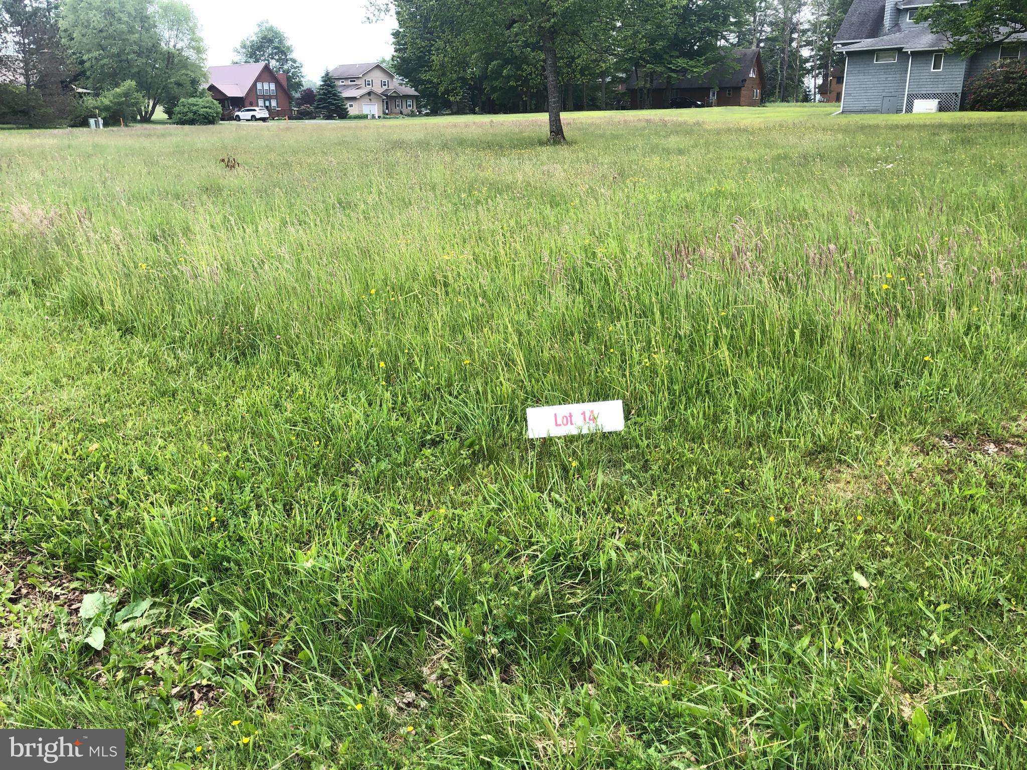 Davis, WV 26260,LOT 14 CESSNA LANE