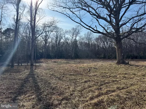 Goldsboro, MD 21636,23993 E CHERRY LANE