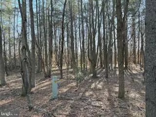 Fredericksburg, VA 22405,778 CAMBRIDGE ST