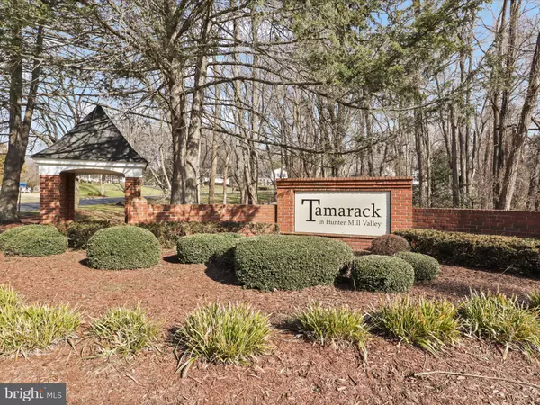 Vienna, VA 22182,10303 TAMARACK DR