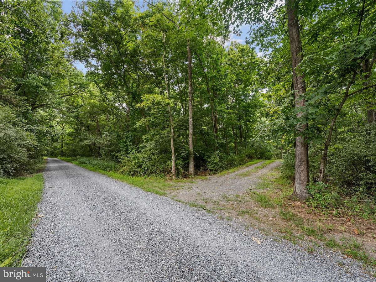 Berryville, VA 22611,LOT 4 ROCK HALL FARM LN