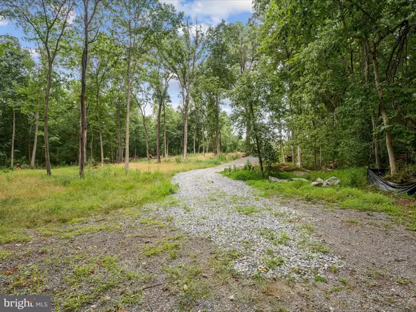 Berryville, VA 22611,LOT 4 ROCK HALL FARM LN