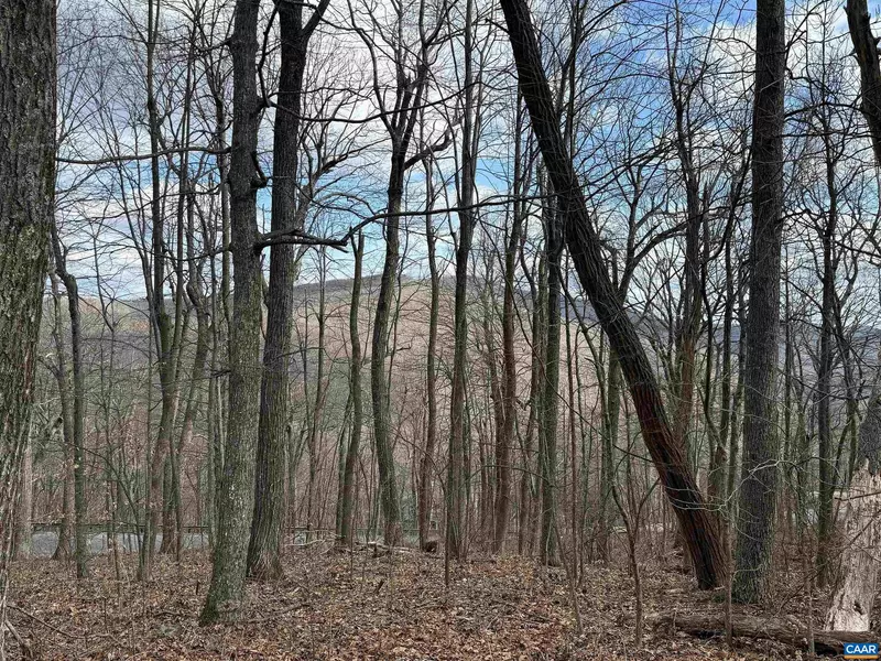 122 HANGING ROCK LN, Wintergreen Resort, VA 22967