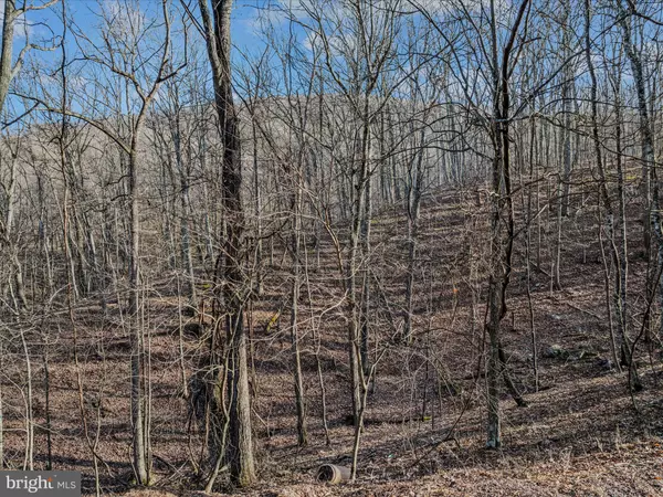 Berkeley Springs, WV 25411,ORE LANE LOT #25