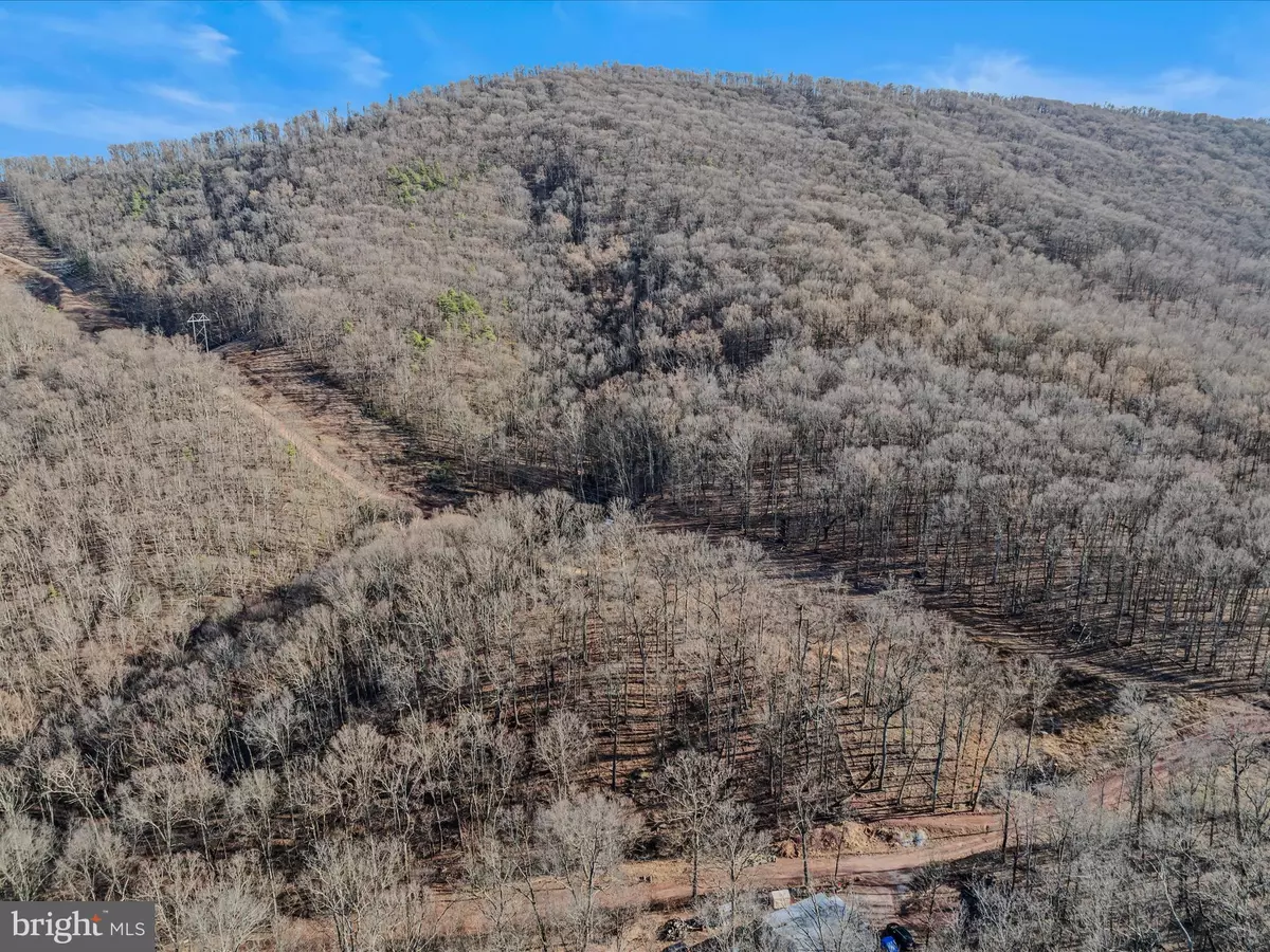 Berkeley Springs, WV 25411,ORE LANE LOT #25