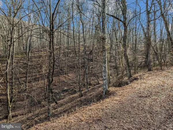 Berkeley Springs, WV 25411,ORE LANE LOT #25