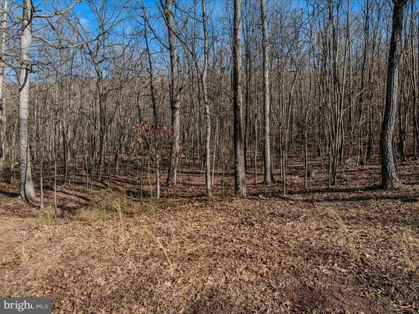 Berkeley Springs, WV 25411,SPRING DR LOT 9A