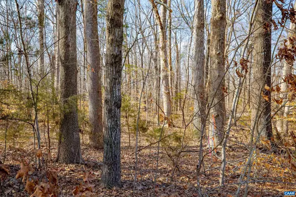 Farmville, VA 23901,TBD REDD SHOP RD