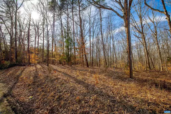 Farmville, VA 23901,TBD REDD SHOP RD