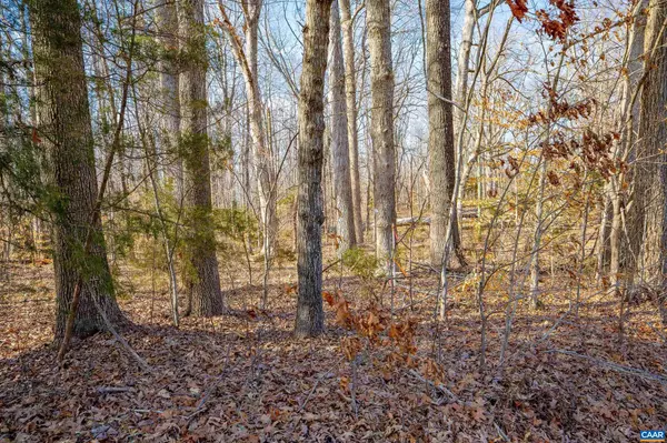 Farmville, VA 23901,TBD REDD SHOP RD