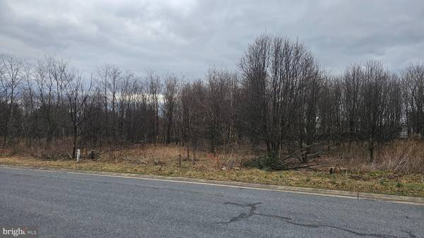 Mercersburg, PA 17236,LOT 16 BUCHANAN DRIVE