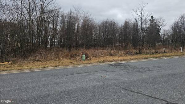 Mercersburg, PA 17236,LOT 16 BUCHANAN DRIVE