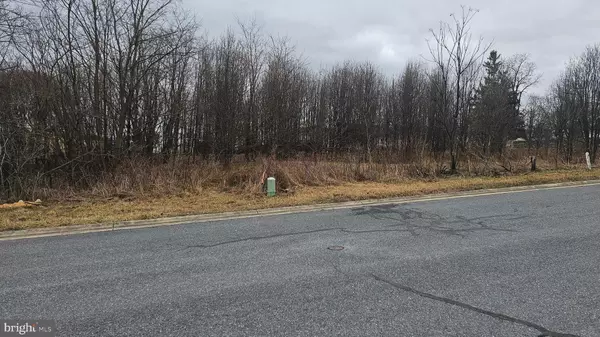 Mercersburg, PA 17236,LOT 19 BUCHANAN DRIVE
