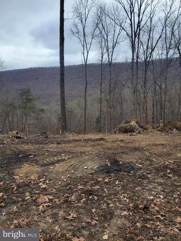 Gerrardstown, WV 25420,LOT 20 OTTER CREEK DR