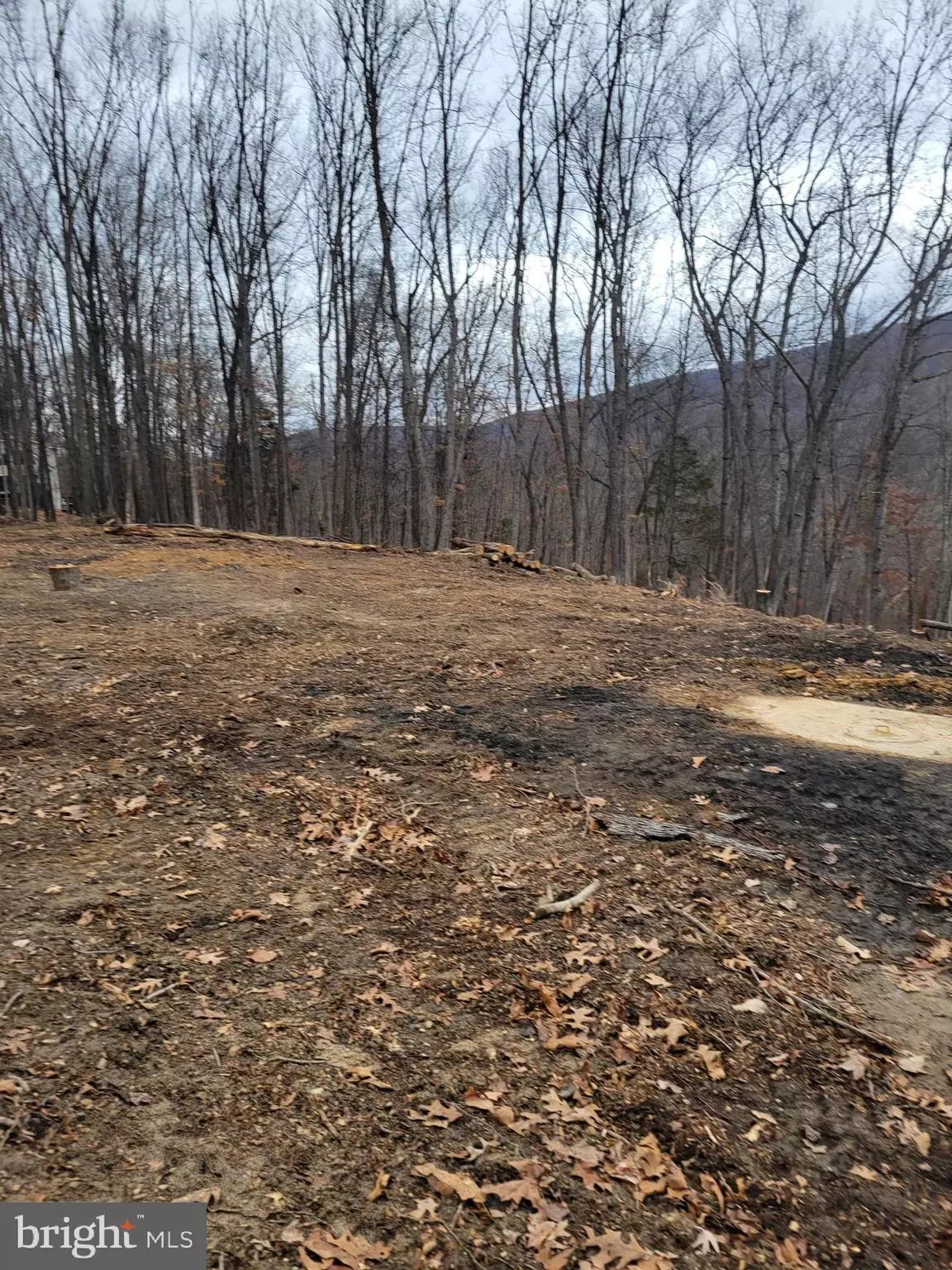 Gerrardstown, WV 25420,LOT 20 OTTER CREEK DR