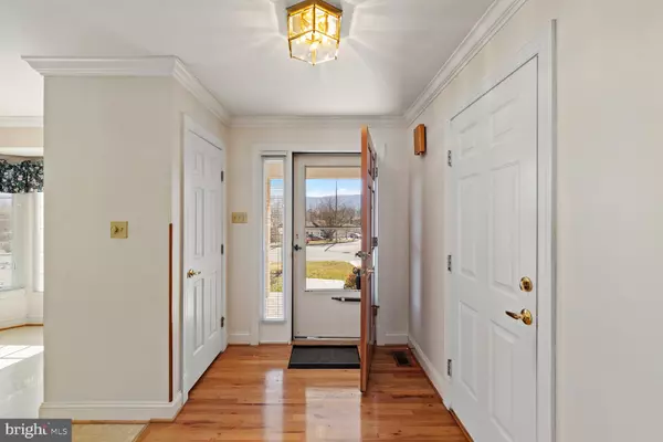 Woodstock, VA 22664,816 SUSAN AVE