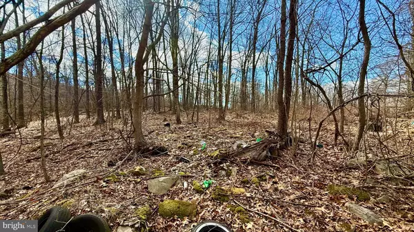 Augusta, WV 26704,LOT 39 SPARROW WAY