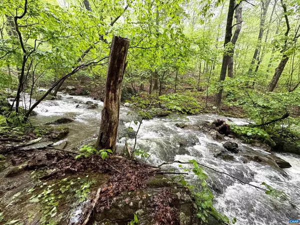 Wintergreen Resort, VA 22967,95 HANGING ROCK LN