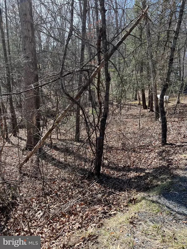 Mount Jackson, VA 22842,0 BITTERNUT LN #554