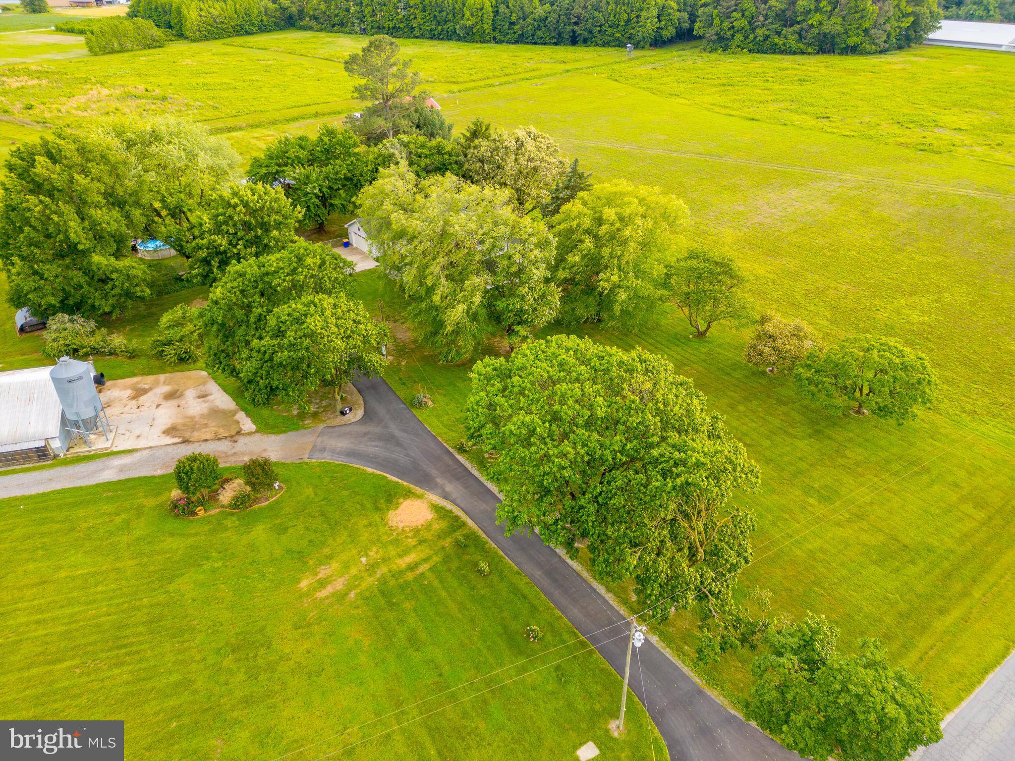 Bridgeville, DE 19933,14930 BLANCHARD RD