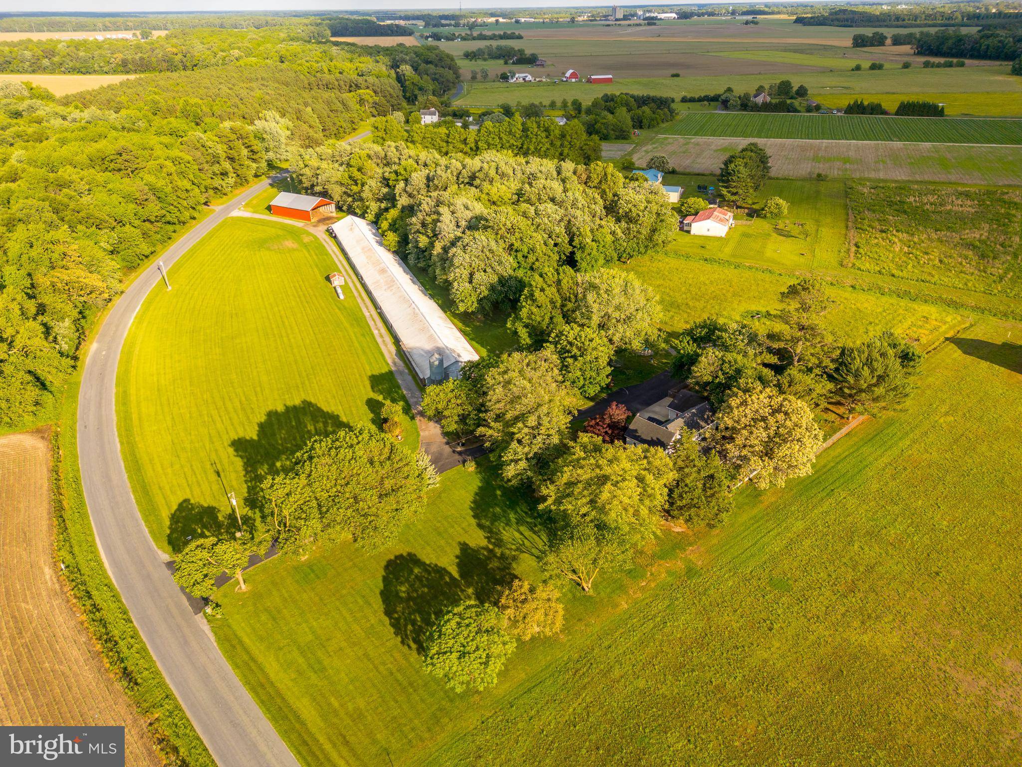 Bridgeville, DE 19933,14930 BLANCHARD RD