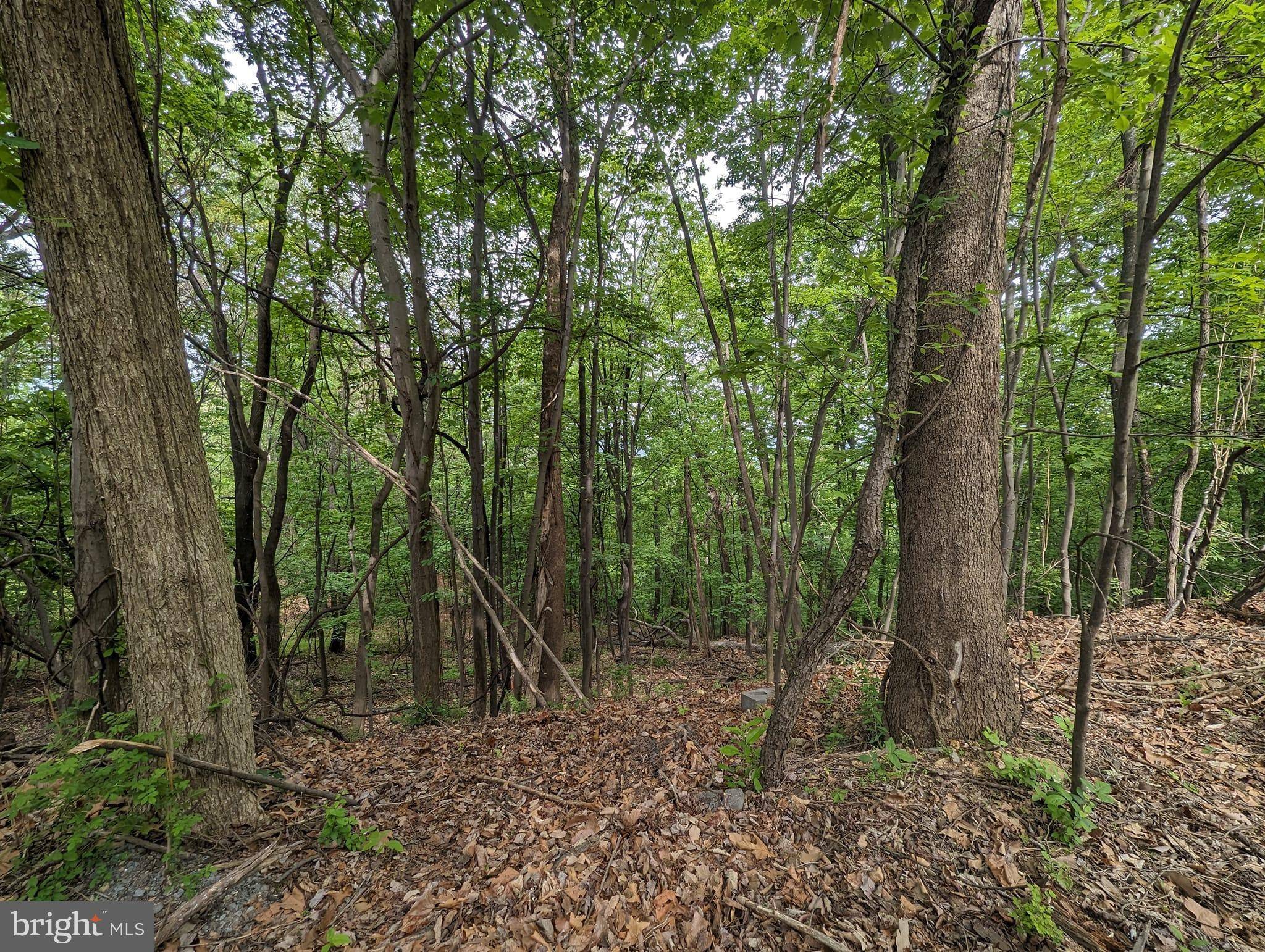 0 BRANDY ROAD, Front Royal, VA 22630