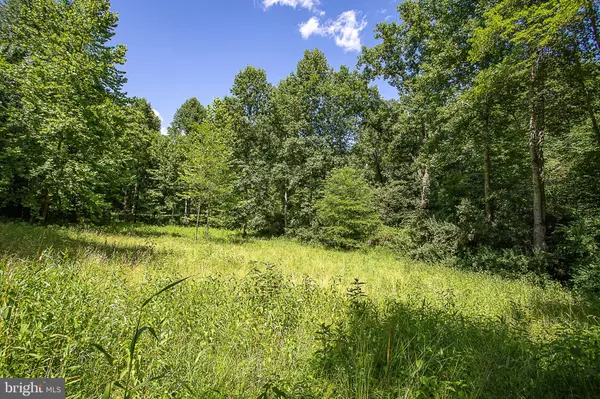 Madison, VA 22727,TBD PINE TORCH #78A