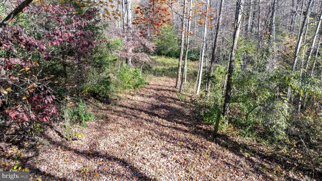 TBD PINE TORCH #78A, Madison, VA 22727