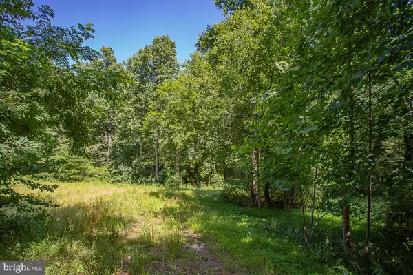 Madison, VA 22727,TBD PINE TORCH #78A