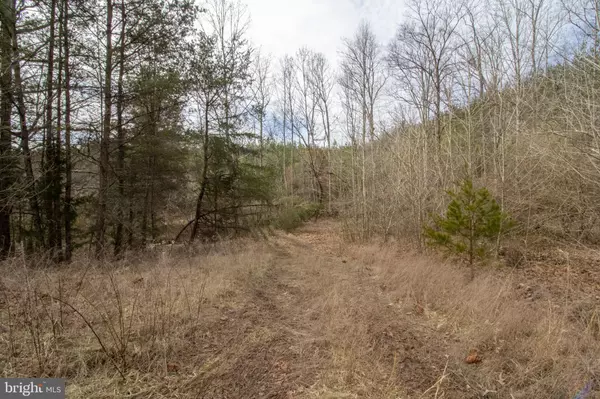 Altavista, VA 24517,TBD TARDY MOUNTAIN ROAD #LOT 7