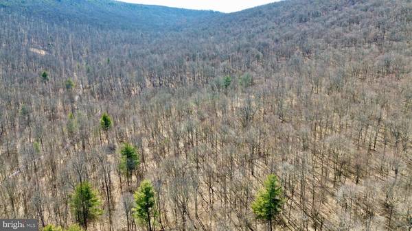 Burnt Cabins, PA 17215,00 TANNERY ROAD