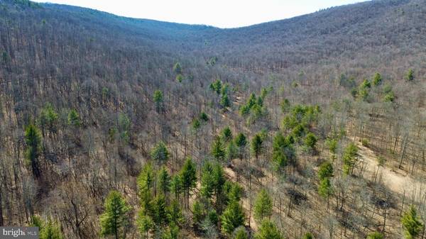 Burnt Cabins, PA 17215,00 TANNERY ROAD