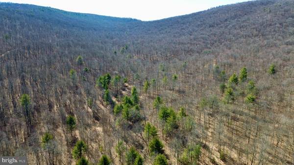 Burnt Cabins, PA 17215,00 TANNERY ROAD