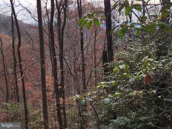 0 BEAR COVE, Bryson City, NC 28713