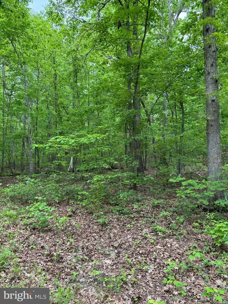 R/W OFF JUSTICE LN, Orange, VA 22960