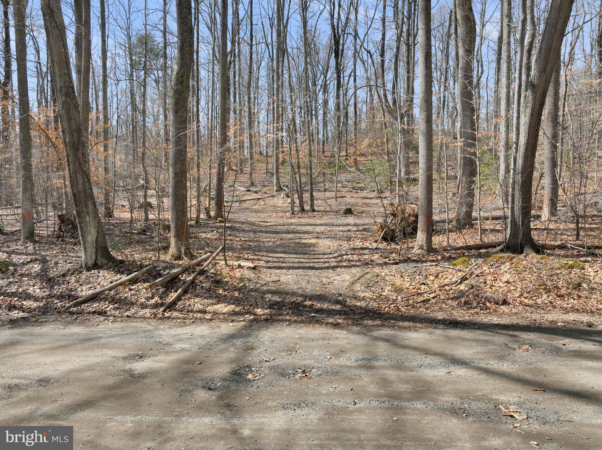 Prince Frederick, MD 20678,4105 CREST DR