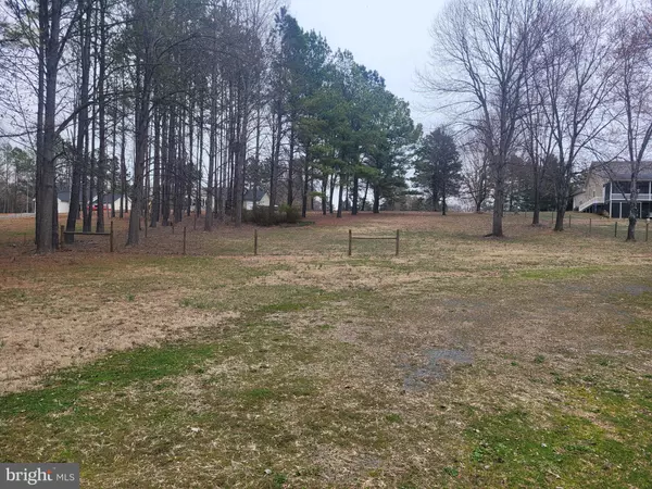 Mineral, VA 23117,LOT 48 DAYS BRIDGE RD