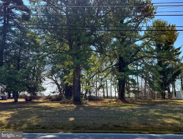 Cecilton, MD 21913,MAIN ST