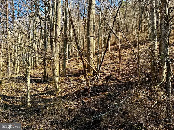 Moorefield, WV 26836,30 AC DUMPLING RUN RD