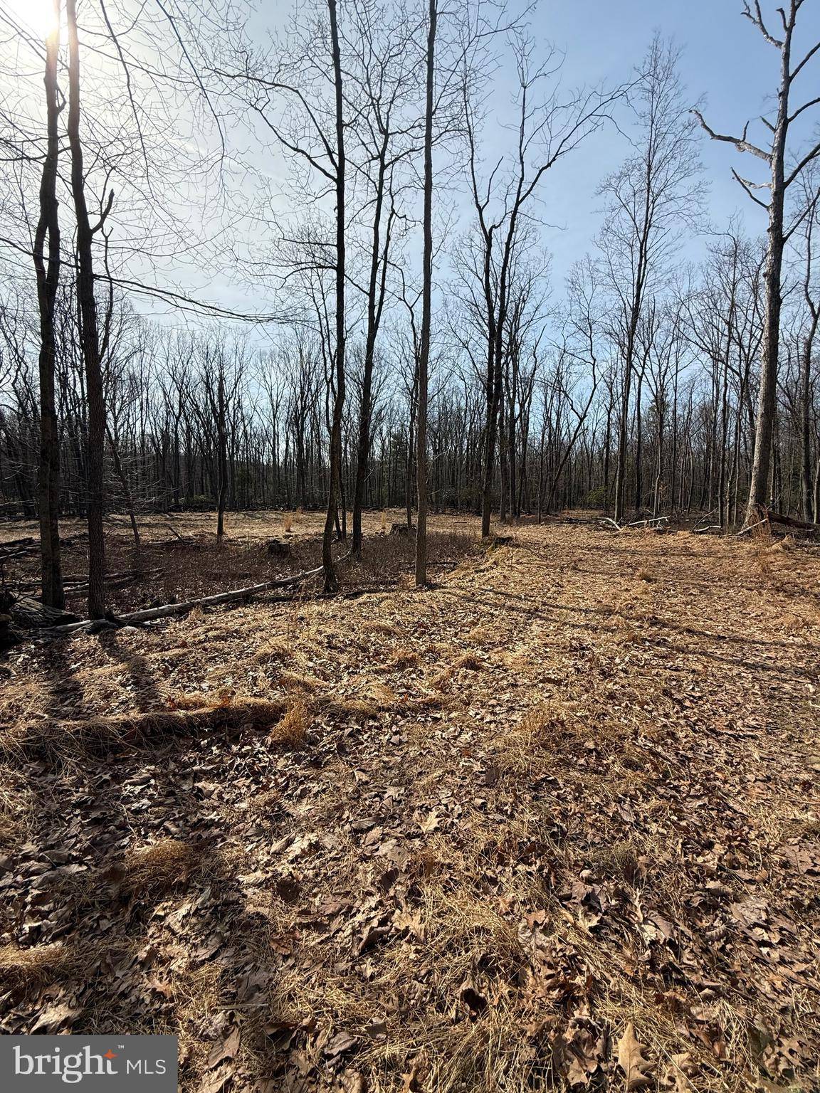 Schuylkill Haven, PA 17972,0 MOYERS STATION RD